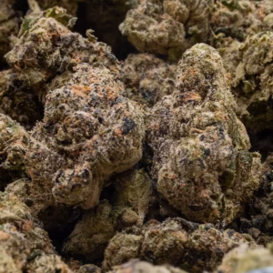 CARTIER CANDY STRAIN - HYBRID
