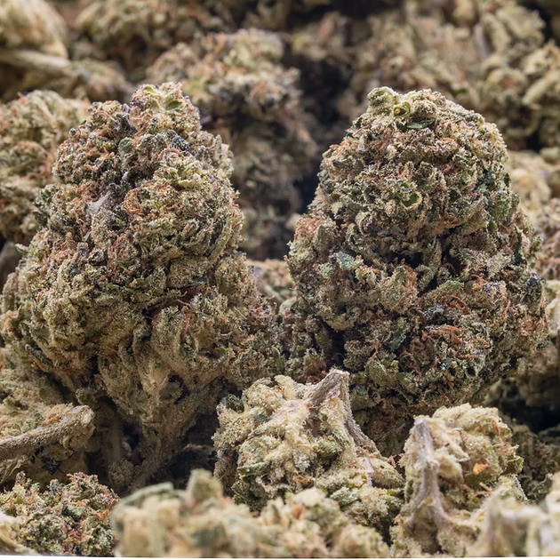 GREEN GOBLIN STRAIN - SATIVA