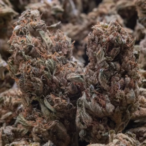 OG KUSH STRAIN - HYBRID - 28G