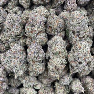 Astro candy - indoor 🍭 🔥