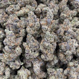 Blue candy pop - exotics 🍭