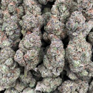 Black Truffle🔥