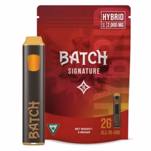 2G BATCH Disposable Vape – 24K Gold Punch